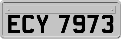 ECY7973