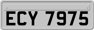 ECY7975