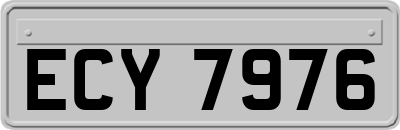 ECY7976