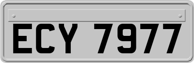 ECY7977