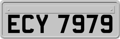 ECY7979