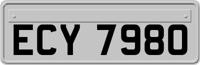 ECY7980