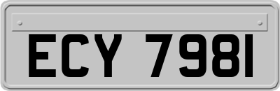 ECY7981