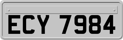 ECY7984