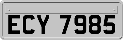 ECY7985
