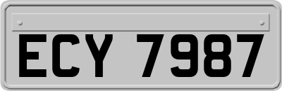 ECY7987