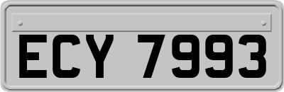 ECY7993