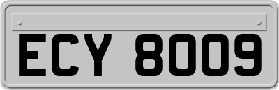 ECY8009