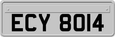 ECY8014
