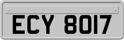 ECY8017