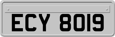 ECY8019