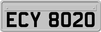 ECY8020