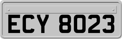 ECY8023
