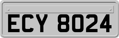 ECY8024