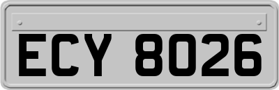 ECY8026