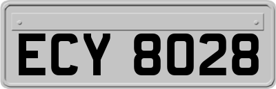 ECY8028