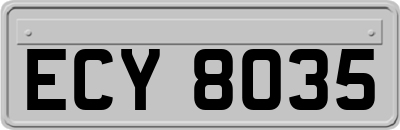 ECY8035