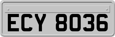 ECY8036