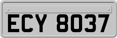 ECY8037