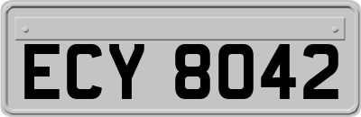 ECY8042