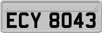 ECY8043