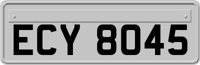 ECY8045