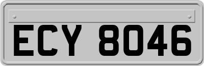 ECY8046