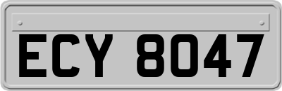 ECY8047