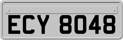 ECY8048
