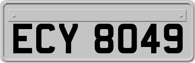 ECY8049