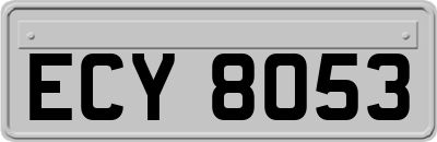 ECY8053