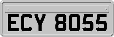ECY8055