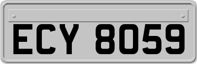 ECY8059