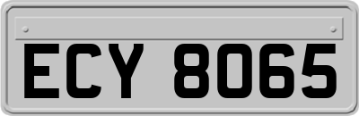 ECY8065