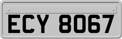 ECY8067