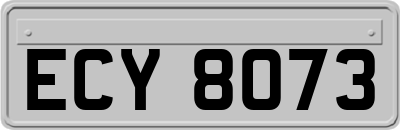 ECY8073