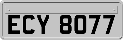 ECY8077