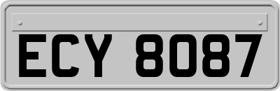 ECY8087