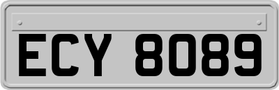 ECY8089