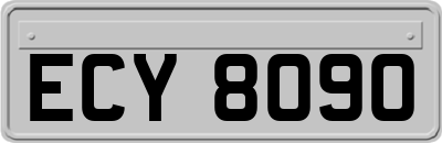 ECY8090