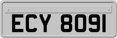 ECY8091