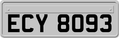 ECY8093