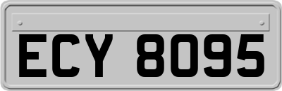 ECY8095