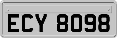 ECY8098