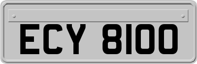 ECY8100
