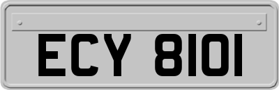 ECY8101