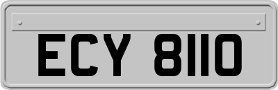 ECY8110