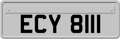 ECY8111
