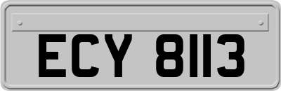 ECY8113