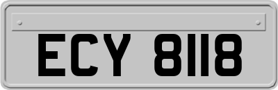 ECY8118